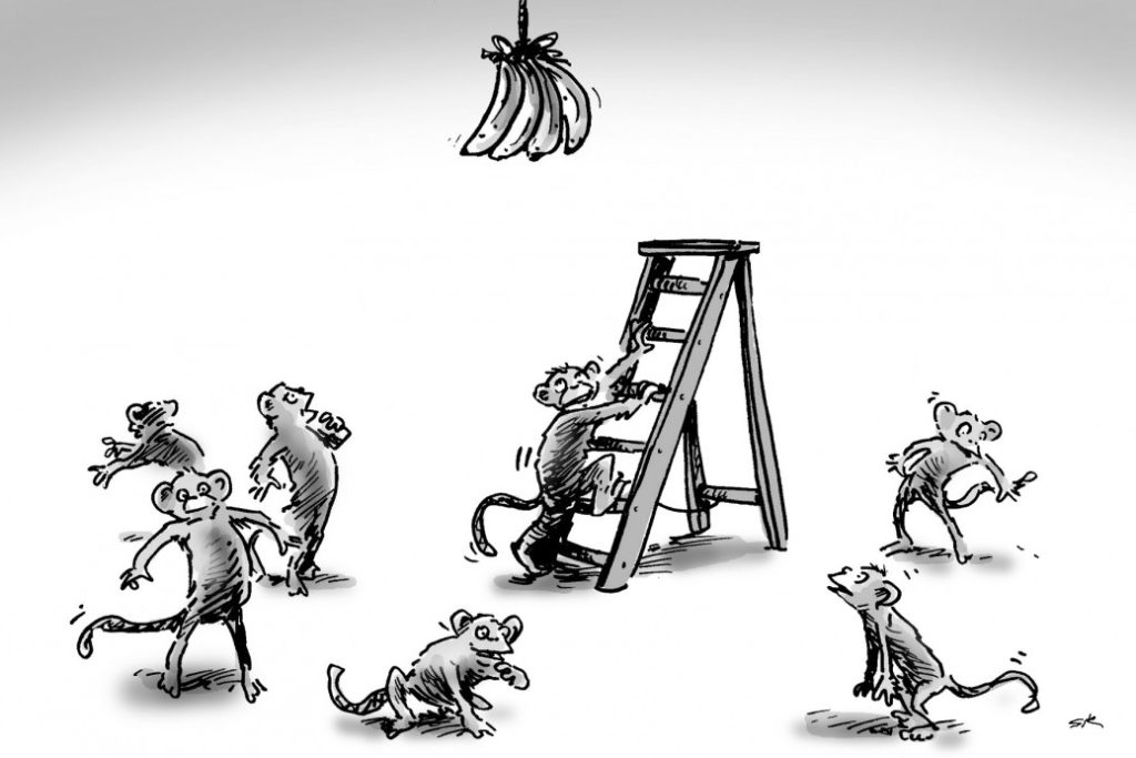 5 Monkeys and a Ladder Story