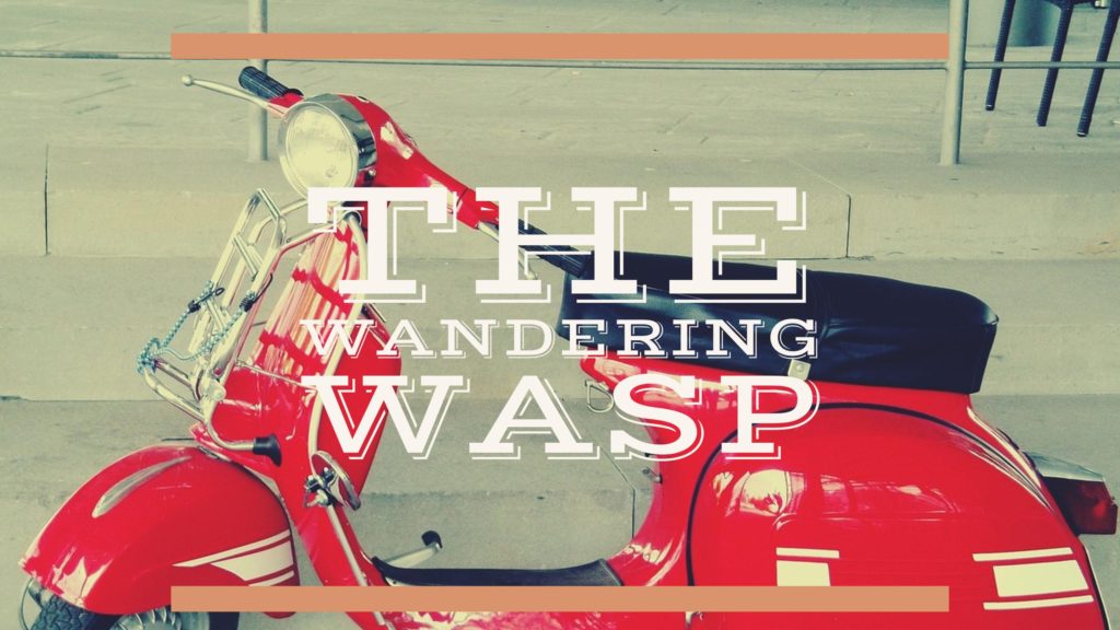 The Wandering Wasp